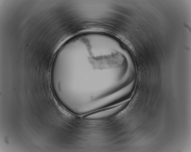 X0000095131425200801041236