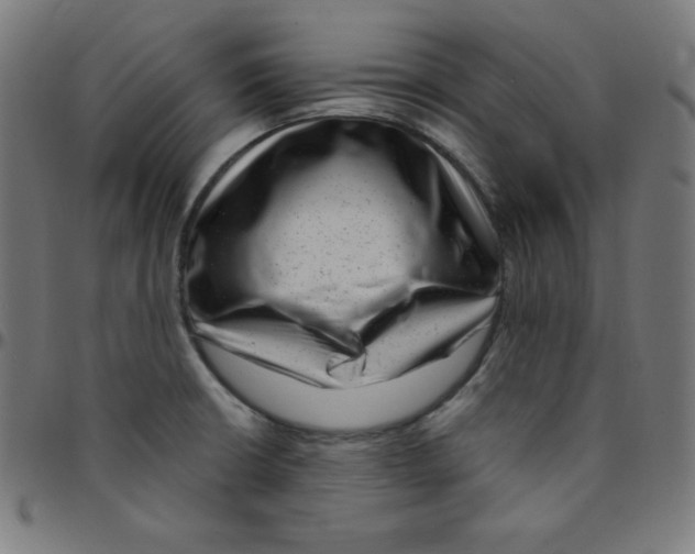 X0000095131426200801041236