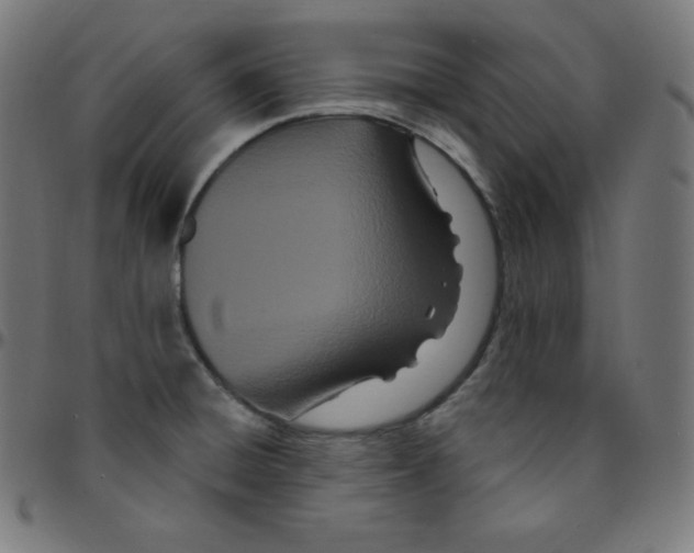 X0000095131428200801041236