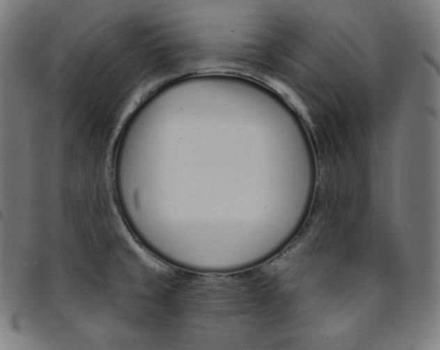 X0000095131429200801041236