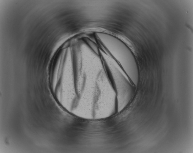 X0000095131430200801041236