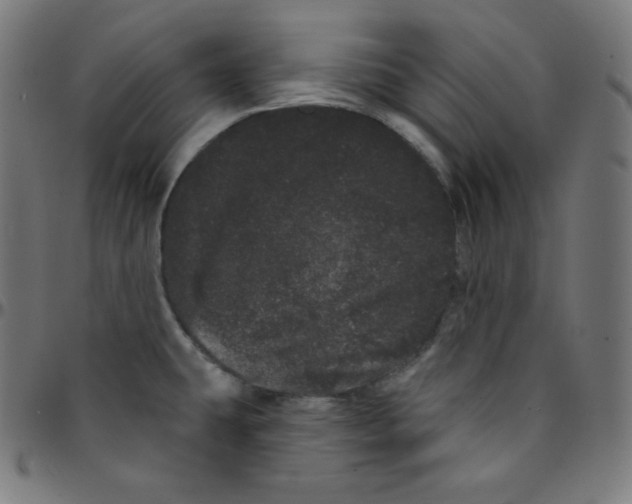 X0000095131431200801041236