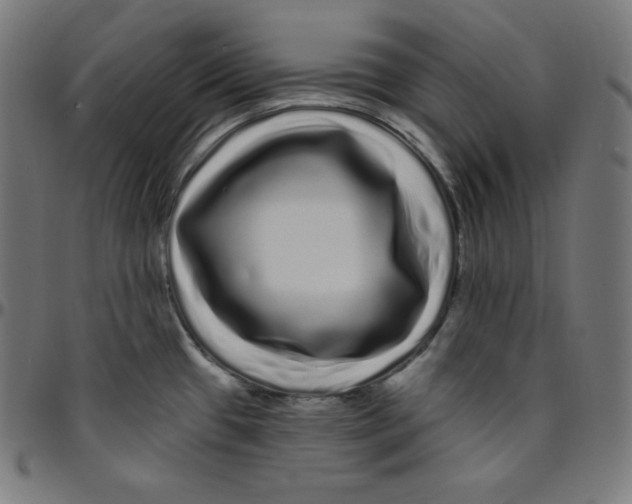 X0000095131433200801041236