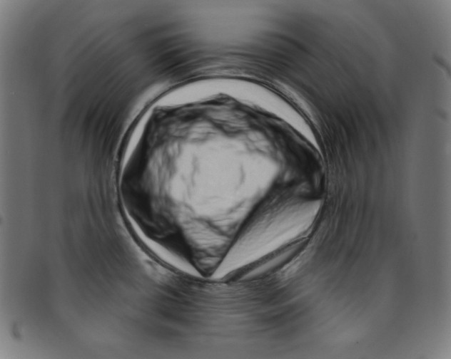 X0000095131434200801041236