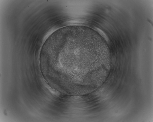 X0000095131435200801041236