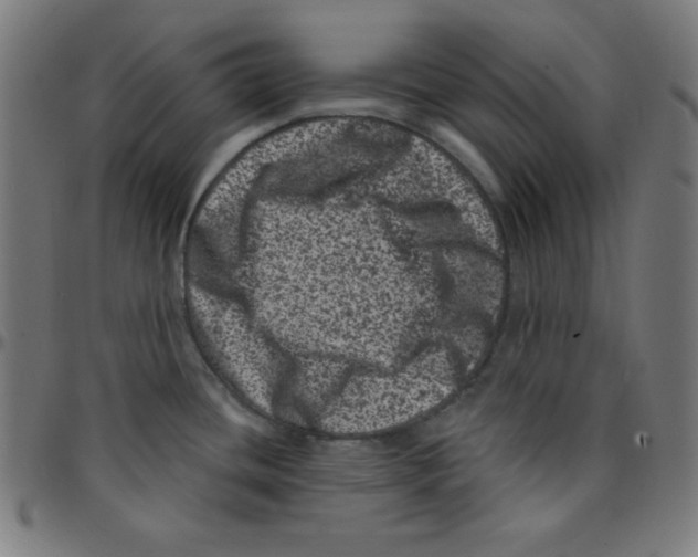 X0000095131436200801041236