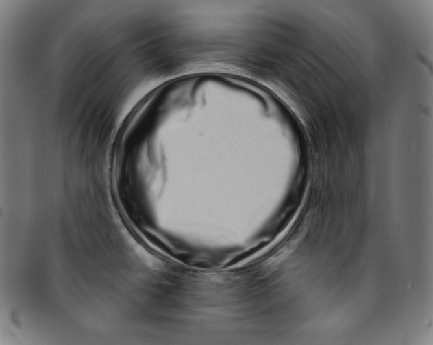 X0000095131438200801041236