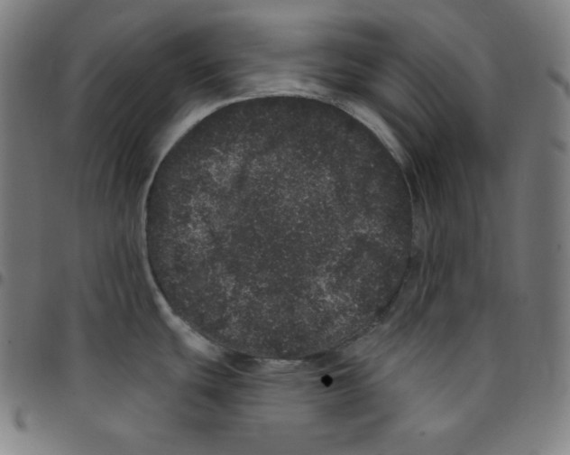 X0000095131439200801041236