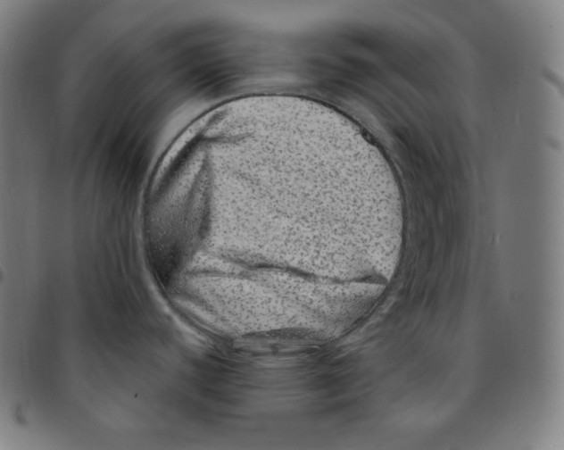 X0000095131440200801041236