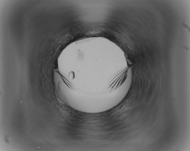 X0000095131441200801041235