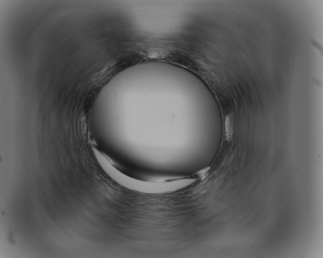 X0000095131443200801041235