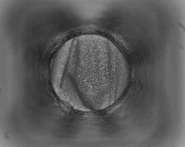 X0000095131445200801041235