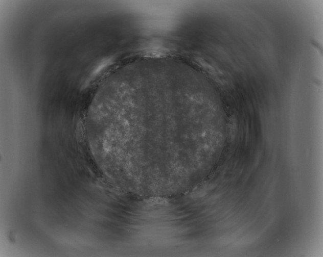 X0000095131446200801041235