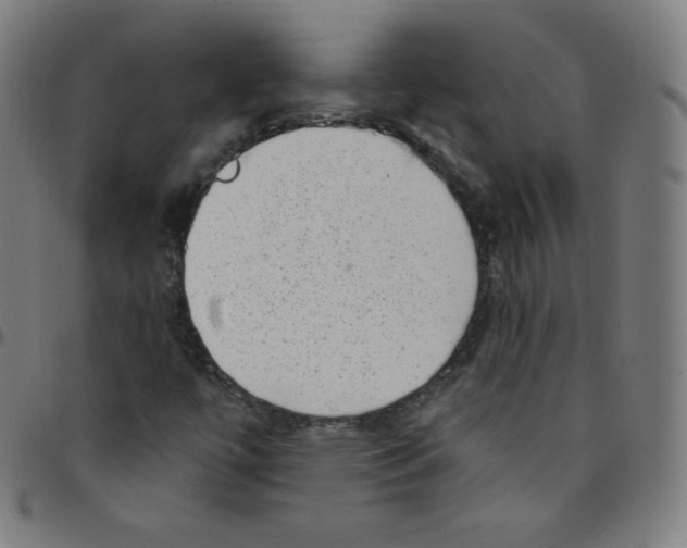 X0000095131447200801041235