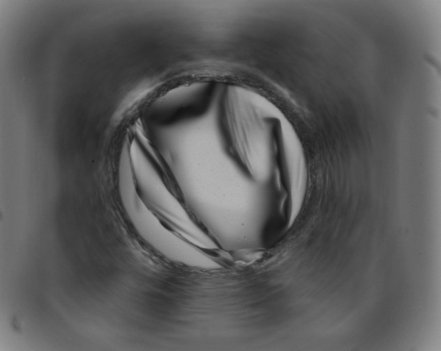 X0000095131448200801041235