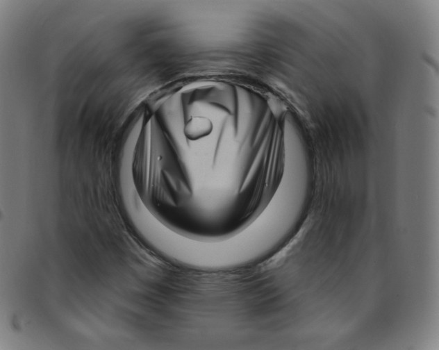 X0000095131449200801041235