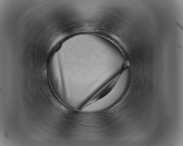 X0000095131450200801041235