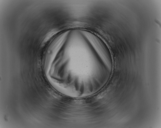 X0000095131453200801041235