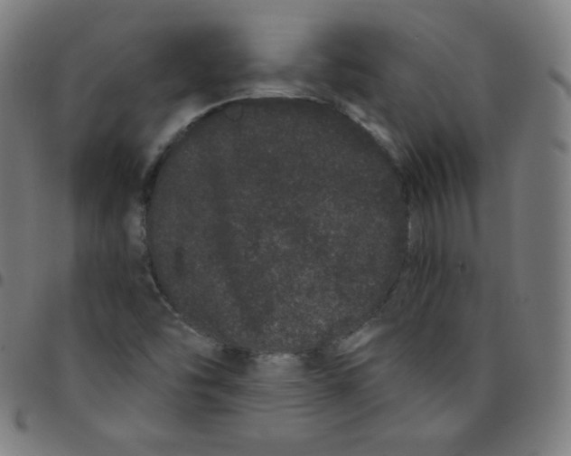 X0000095131454200801041235