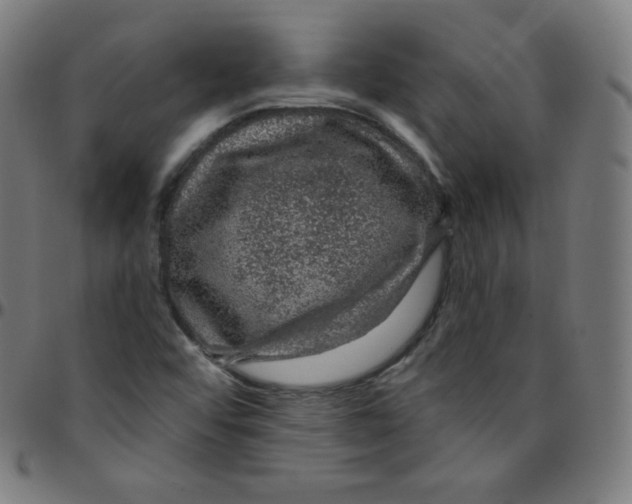 X0000095131456200801041235