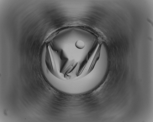 X0000095131457200801041235