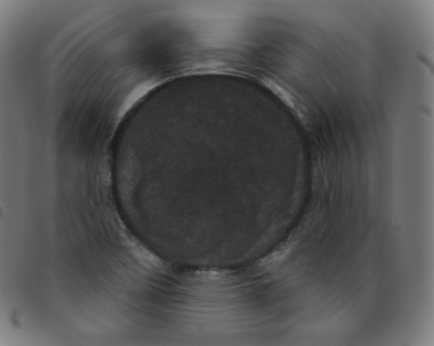 X0000095131458200801041235