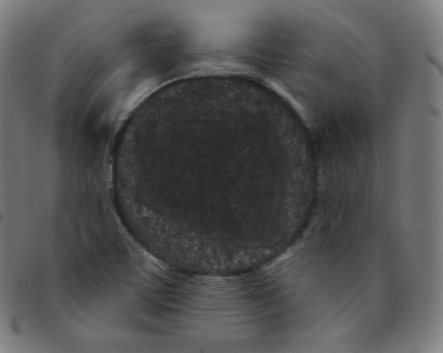 X0000095131459200801041235