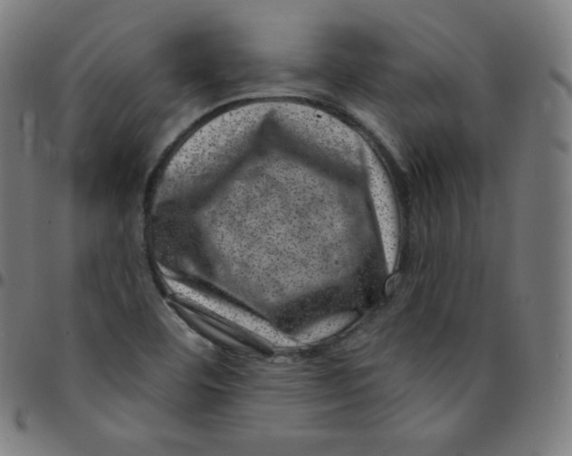 X0000095131460200801041235