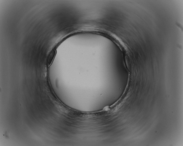 X0000095131461200801041235