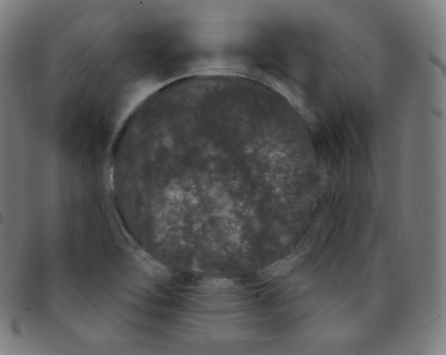 X0000095131462200801041235