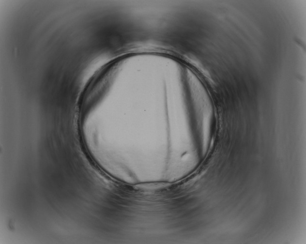 X0000095131463200801041235