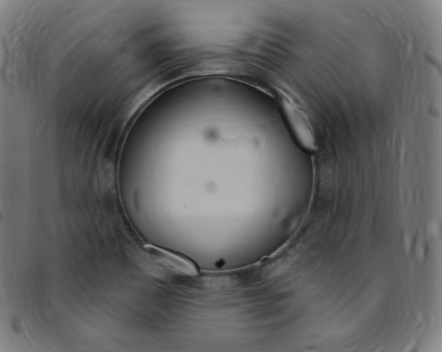 X0000095131465200801041235