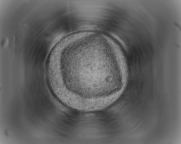 X0000095131467200801041235