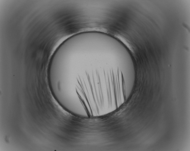 X0000095131468200801041235