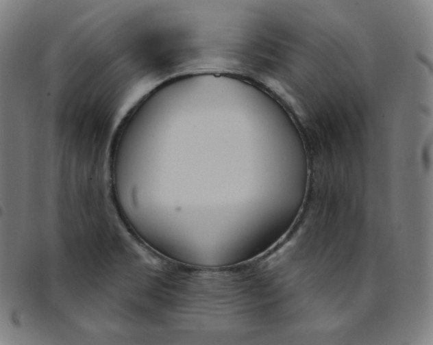 X0000095131469200801041235