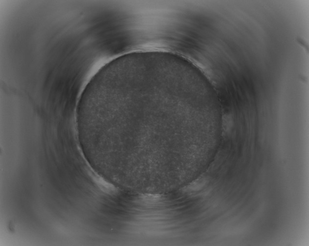 X0000095131470200801041235