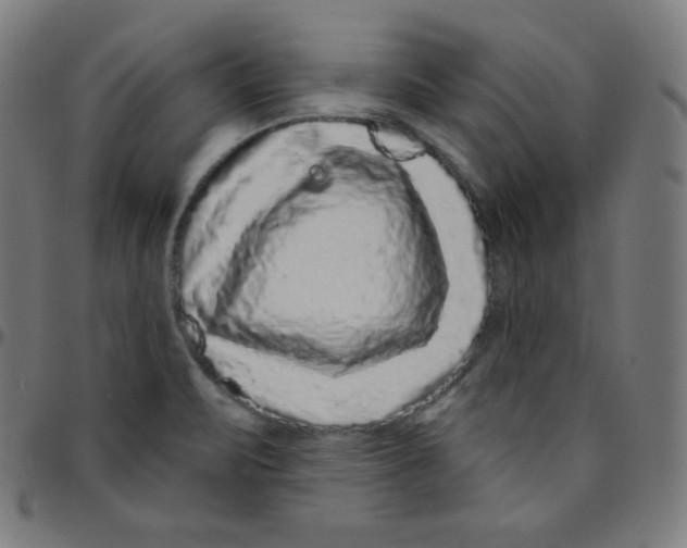 X0000095131471200801041235