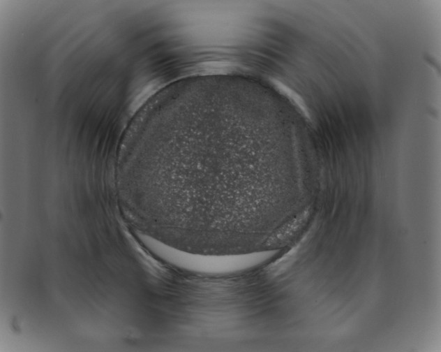 X0000095131473200801041235