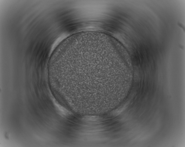 X0000095131474200801041235