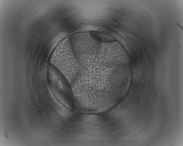 X0000095131475200801041235