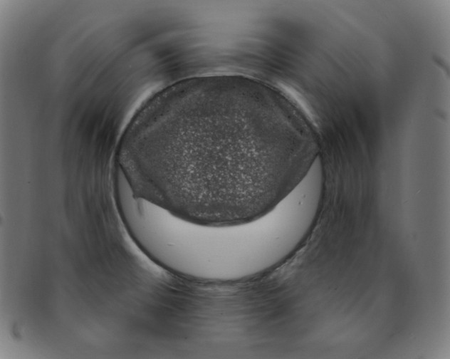 X0000095131476200801041235