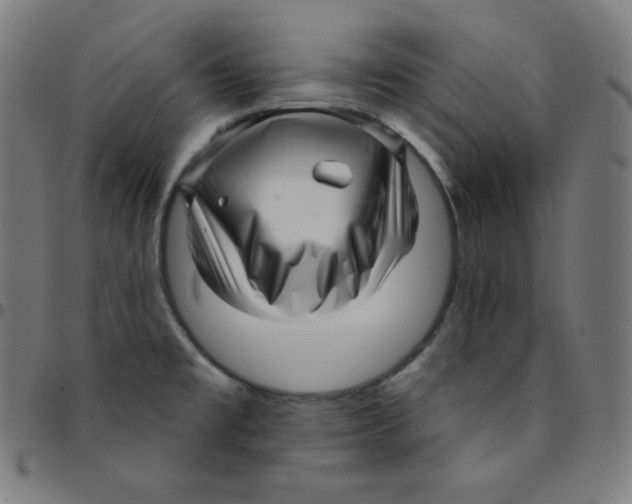 X0000095131477200801041235