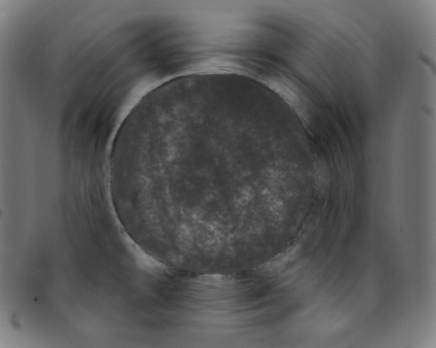 X0000095131478200801041235