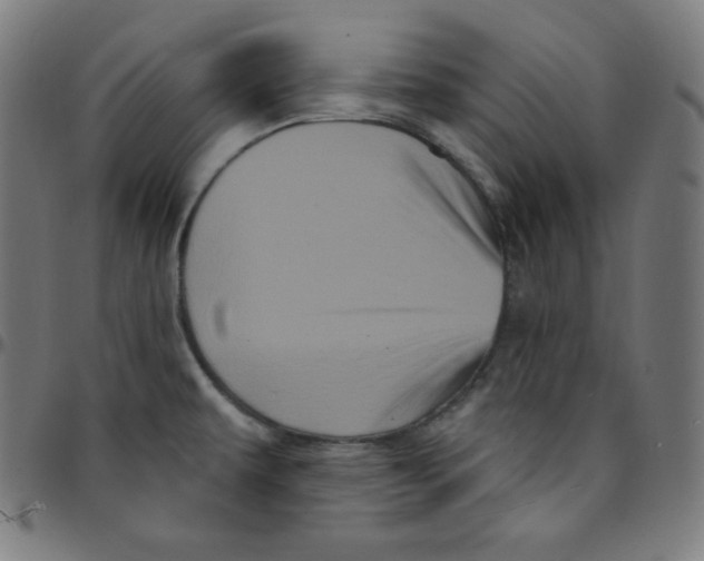 X0000095131479200801041235