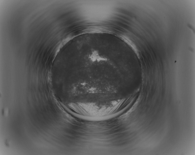 X0000095131481200801041235