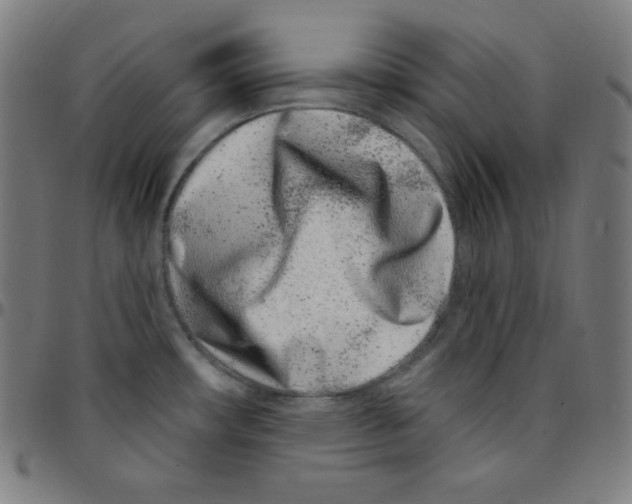 X0000095131482200801041235