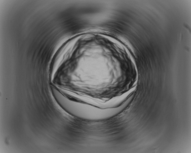 X0000095131483200801041235