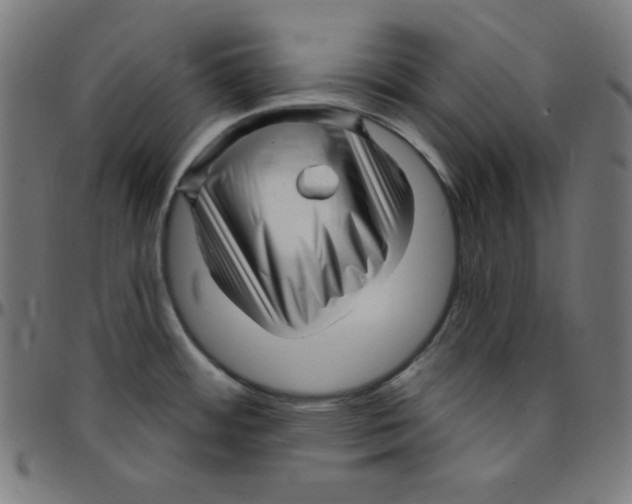 X0000095131484200801041235