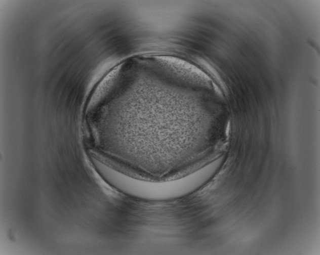 X0000095131485200801041235