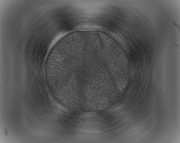 X0000095131486200801041235